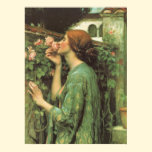 My Sweet Rose (Soul of the Rose) by Waterhouse posters