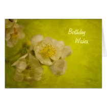 My Sweet Wild Rose Birthday Card by Lois Bryan cards