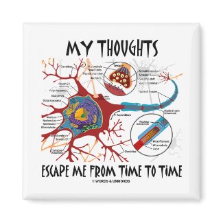 My Thoughts Escape Me From Time To Time magnet