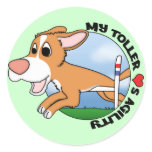 My Toller Loves Agility Sticker