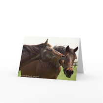 My Turbulent Miss Shares A Joke With Taba cards