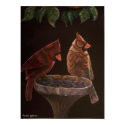 My Two Cardinal's posters by CrookedRiverArt My Two Cardinal's posters