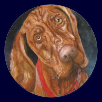 My Vizsla Sticker