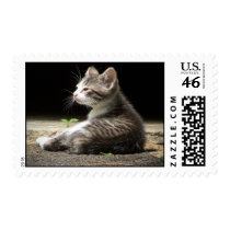 My Watch Postage