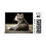 My Watch Postage