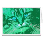 My Wild Irish Tabby Cards