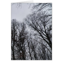 My Winter Sky cards