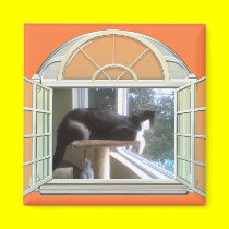 My World magnets