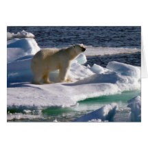 My World is melting! Greeting Cards