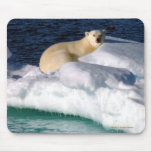 My World is melting! mousepads