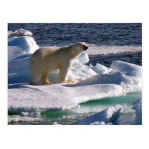My World is melting! Post Cards