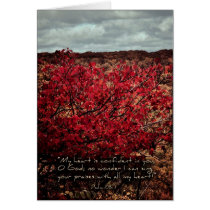 MyheartisconfidentinyouZazzle cards