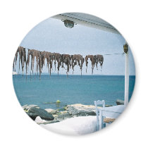 Mykonos, Greece Magnet