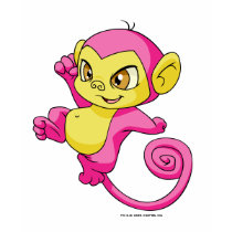 Mynci Pink t-shirts