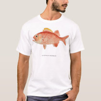Myripristis Murdjan t-shirts