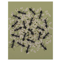 Myrmecophobia Letterhead Design