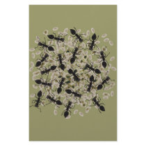 Myrmecophobia Custom Stationery