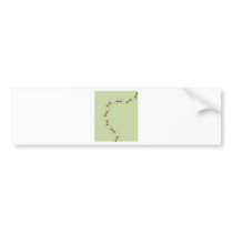 Myrmoteras Binghami, Ants Bumper Sticker