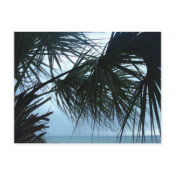 Myrtle Beach, SC. #17 Postcard postcard