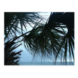 myrtle beach, beach, shore, ocean