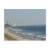 pier, beach, fishing, myrtle, fun, vacation