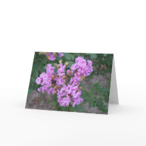 Myrtle Card