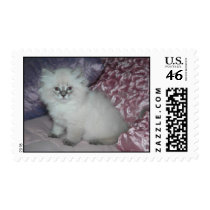MySilverPuffonStamps stamps