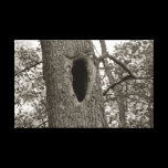 Mysterious Hole (Sepia) canvas prints