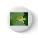 Mysterious lily buttons by uniuni42 Mysterious lily buttons
