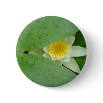 Mysterious lily buttons