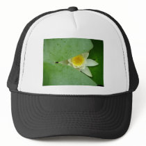 Mysterious lily hats