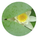 Mysterious lily stickers by uniuni42 Mysterious lily stickers