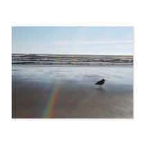 Mysterious Rainbow postcards by bootsnlee Mysterious Rainbow postcards
