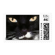 Mysterious Stamp