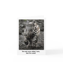 Mystery Critter Cards
