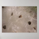 Mystery Seeds Posters