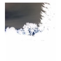 Mystery Sky T-Shirt