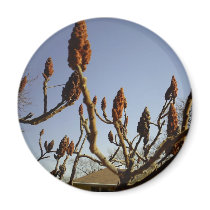 Mystery Tree magnets