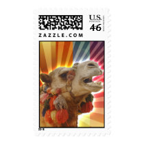 Mystic Camel stamps