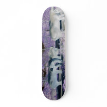 MYSTIC ELEPHANTS SKATEBOARDS