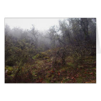 Mystic Forrest Card cards