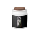 Mystic Friesian Candy Jar