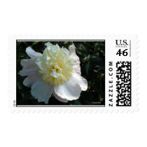 Mystic Peony postage by StarLily Mystic Peony postage