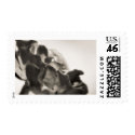 Mystic postage