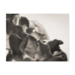 Mystic Postcards
