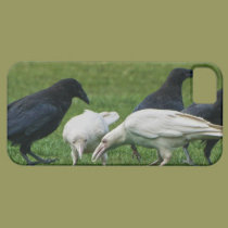 Mystic Ravens White Spirit Raven Corvid-lover Case casemate cases