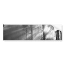 Mystic steam bumper stickers