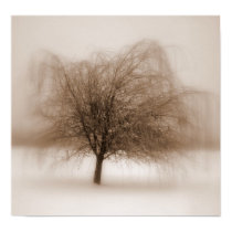 Mystical Dreams posters