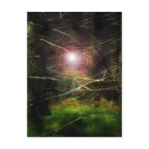 Mystical Forest postcards by colorimages Mystical Forest postcards
