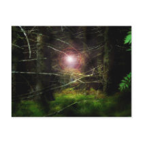 Mystical Forest postcards by colorimages Mystical Forest postcards